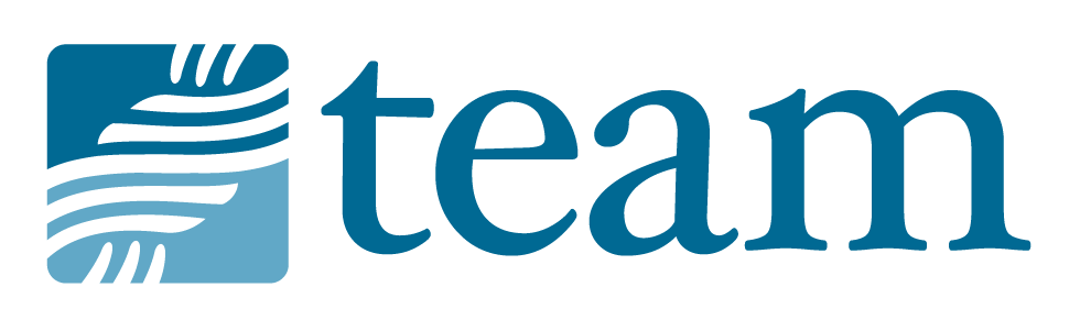 TEAM logo