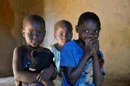 zimkids