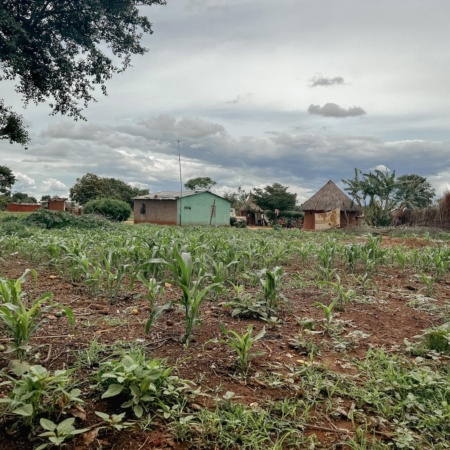 Zambia5.jpg