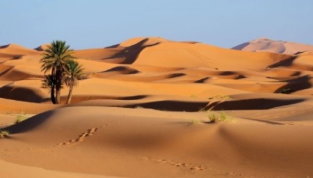 NAB desert.jpg