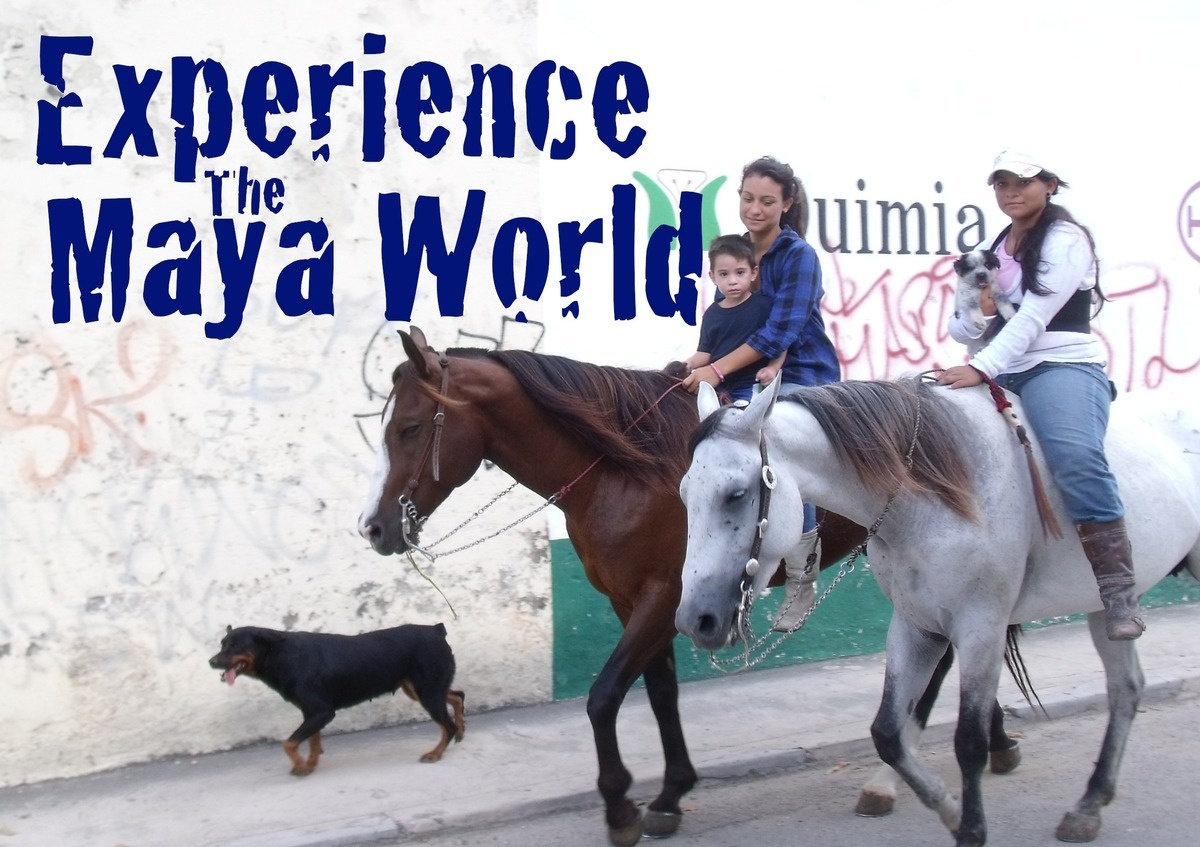 Experiance